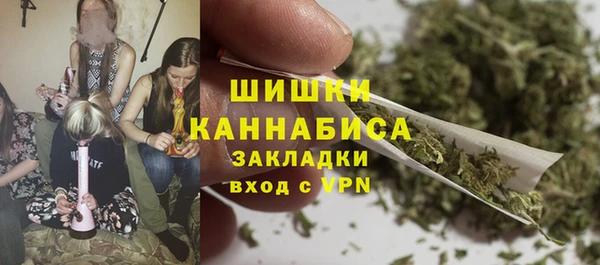 индика Чегем