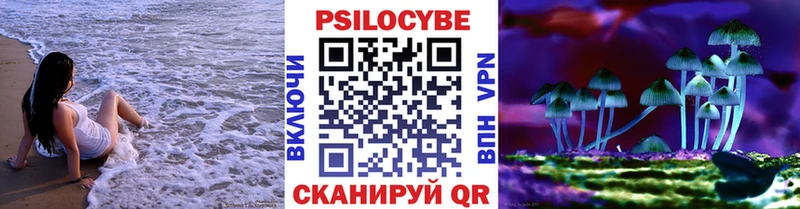 Псилоцибиновые грибы мицелий Лабинск